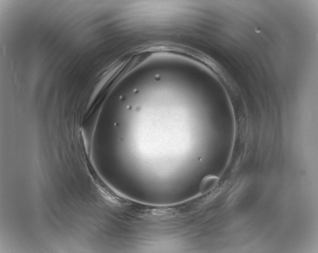 X0000064720857200602101122