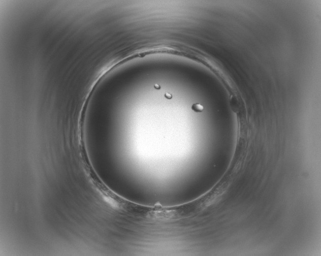 X0000064720858200602101122