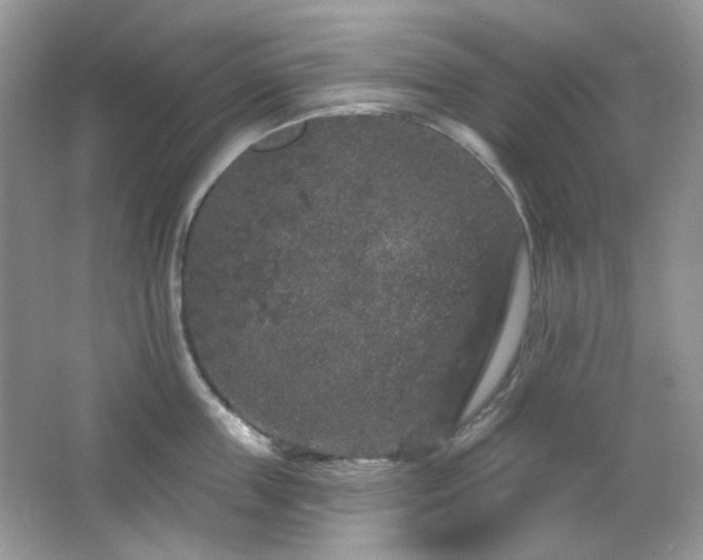 X0000064720859200602101122