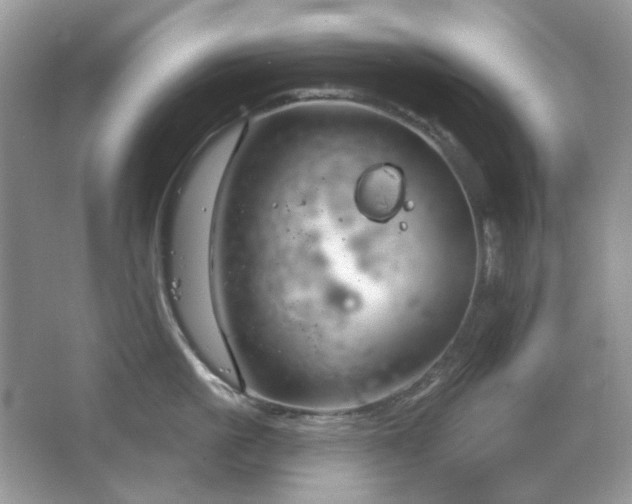 X0000064720861200602101122