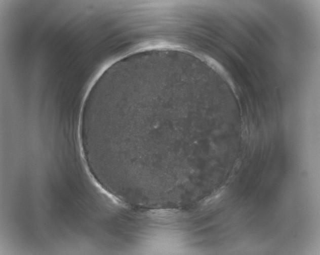 X0000064720863200602101122