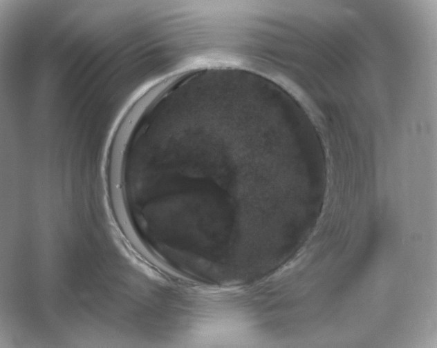 X0000064720864200602101122