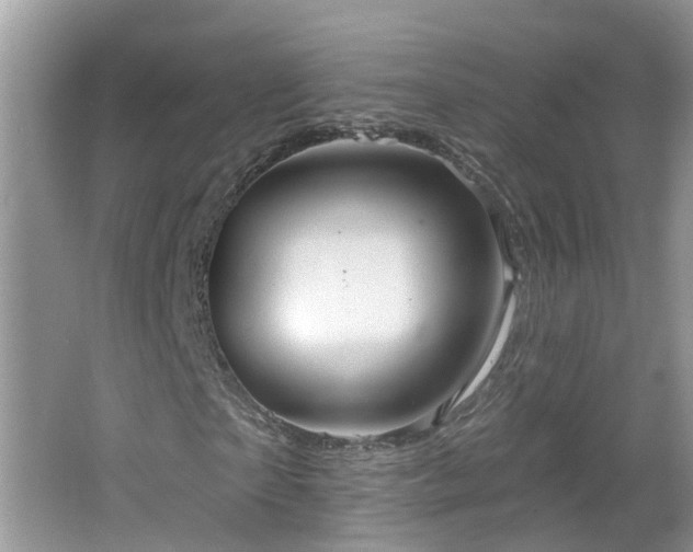 X0000064720865200602101121