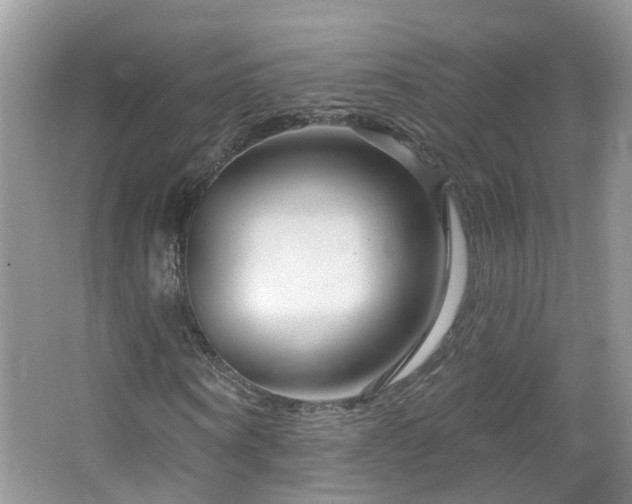 X0000064720866200602101121