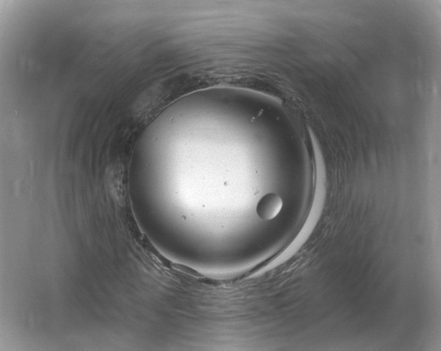 X0000064720867200602101121