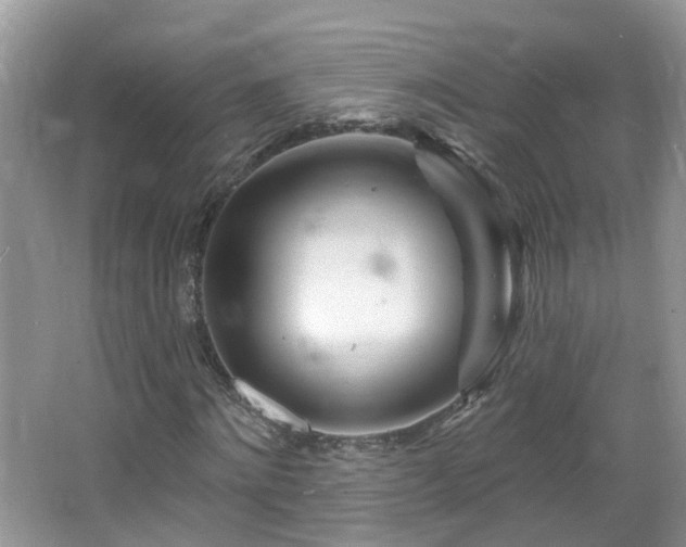 X0000064720868200602101121