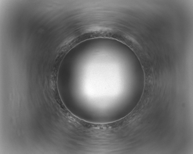 X0000064720869200602101121