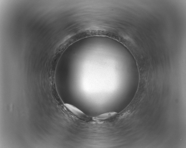 X0000064720870200602101121