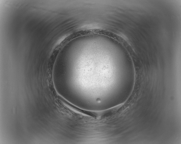 X0000064720871200602101121