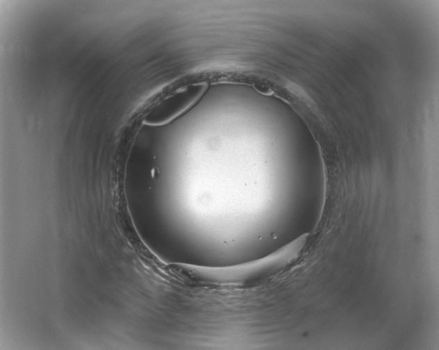 X0000064720872200602101121