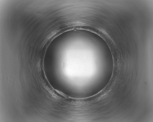 X0000064720873200602101121