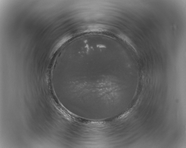 X0000064720874200602101121