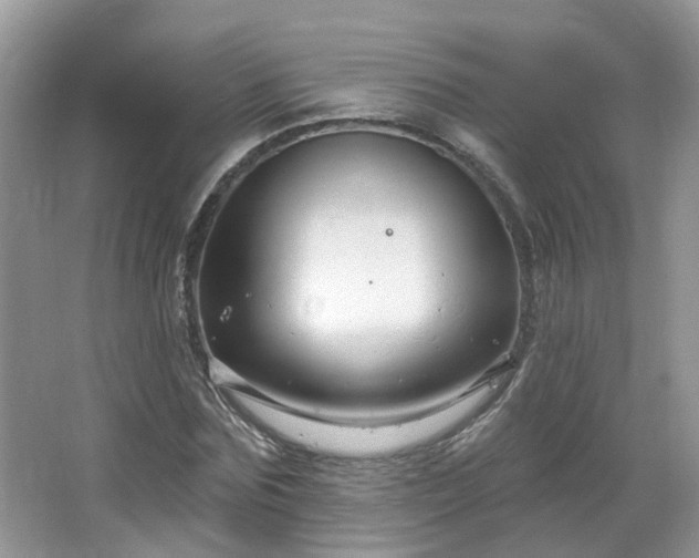 X0000064720875200602101121