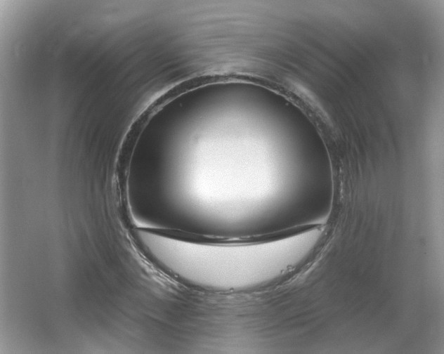 X0000064720876200602101121