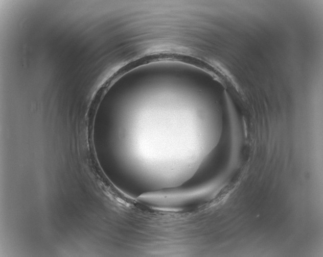 X0000064720877200602101121