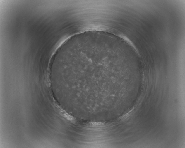 X0000064720878200602101121