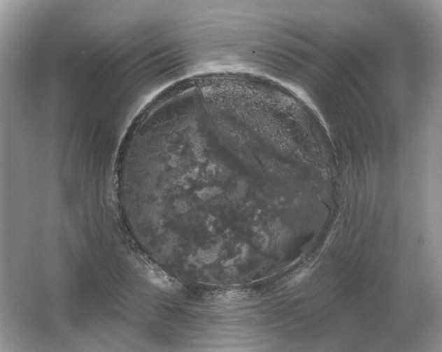 X0000064720879200602101121