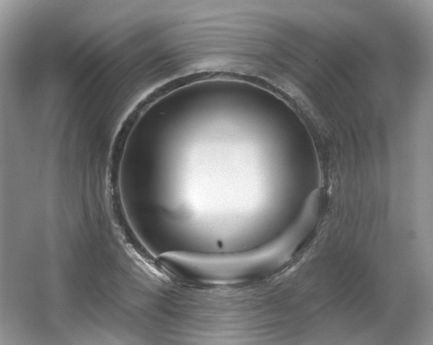 X0000064720880200602101121