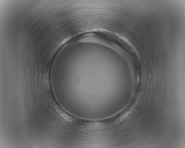 X0000064720881200602101121