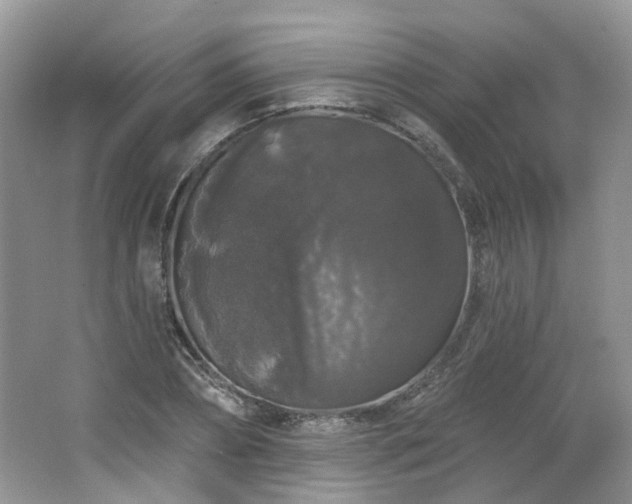 X0000064720882200602101121