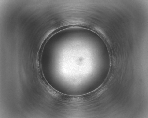 X0000064720883200602101121