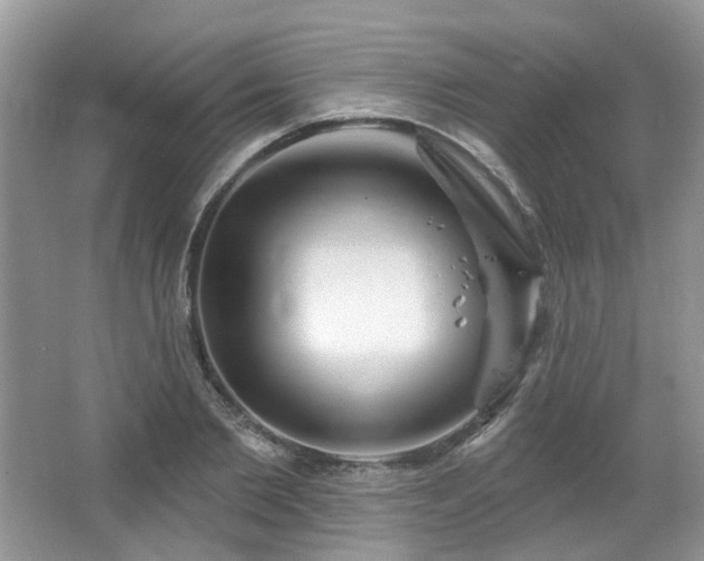 X0000064720885200602101121