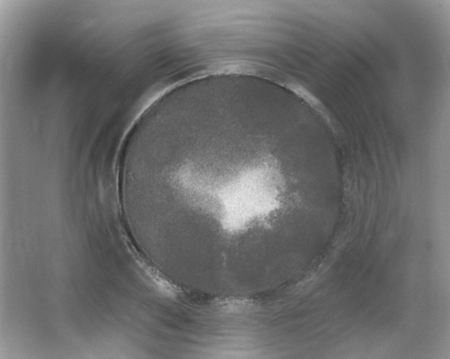 X0000064720886200602101121