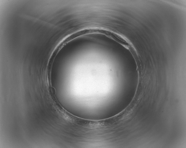 X0000064720887200602101121