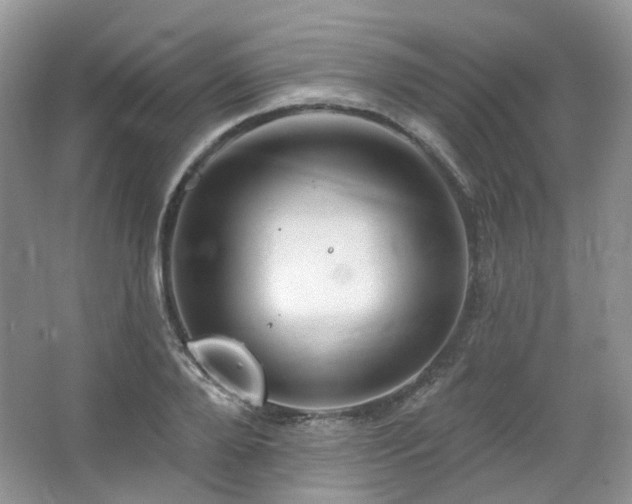 X0000064720888200602101121