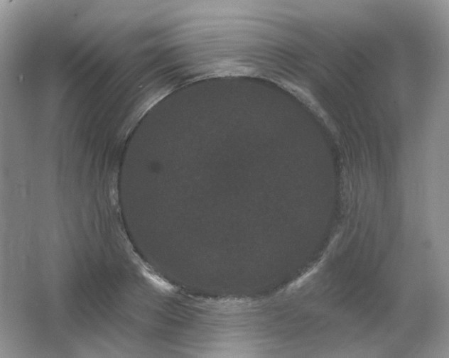 X0000064720889200602101121