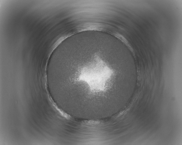 X0000064720890200602101121