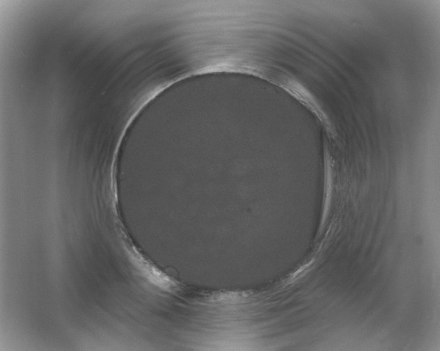 X0000064720892200602101121