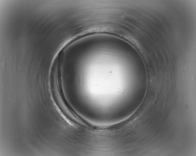 X0000064720894200602101121