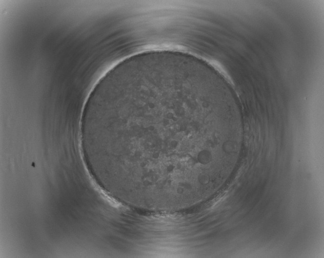 X0000064720895200602101121