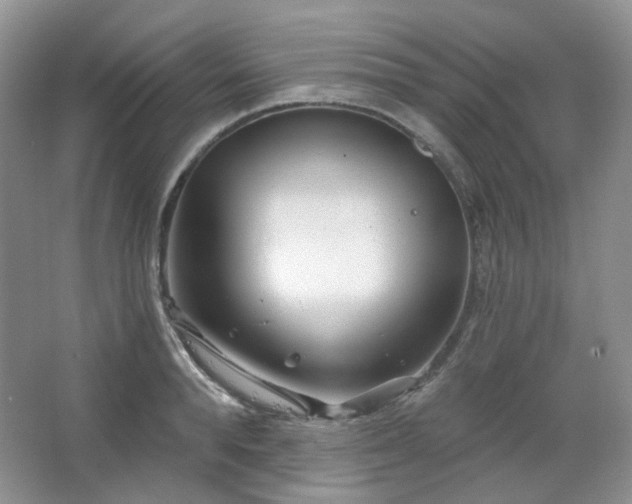 X0000064720896200602101121