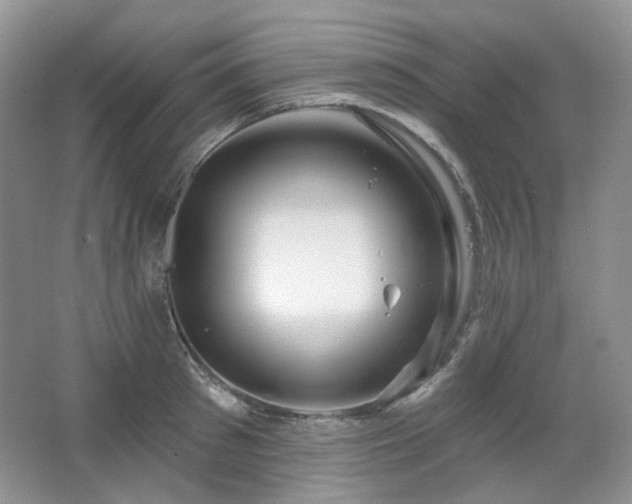 X0000064720897200602101121