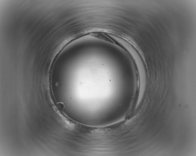 X0000064720898200602101121