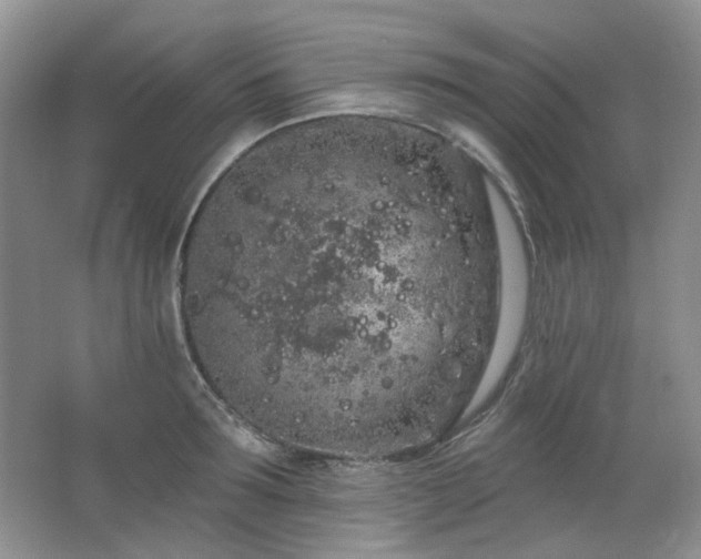 X0000064720899200602101121