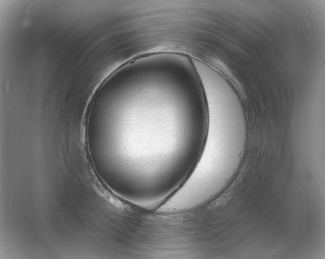 X0000064720900200602101121