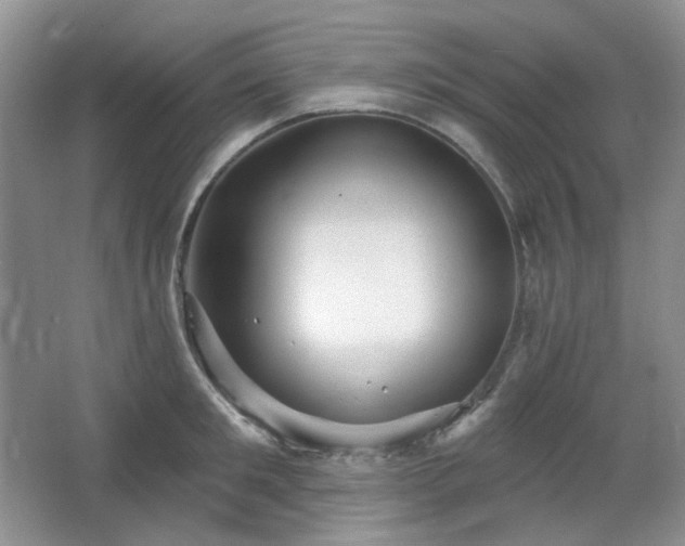 X0000064720901200602101121