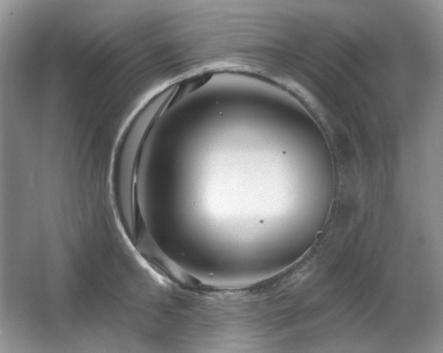 X0000064720902200602101121