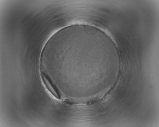 X0000064720903200602101121