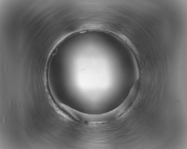 X0000064720904200602101121