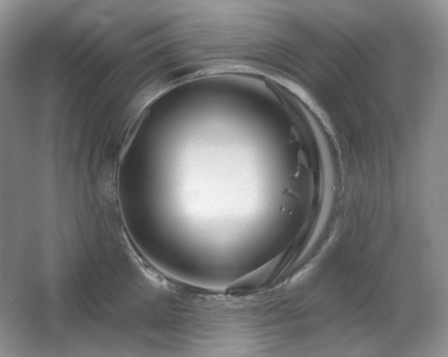 X0000064720905200602101121