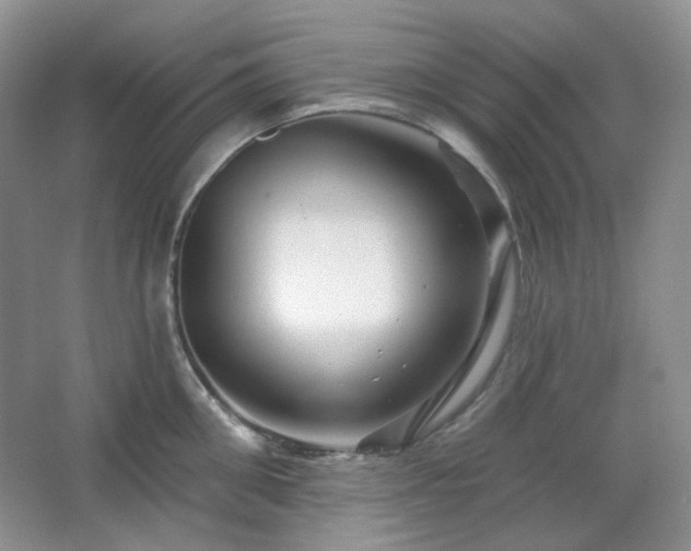 X0000064720906200602101121