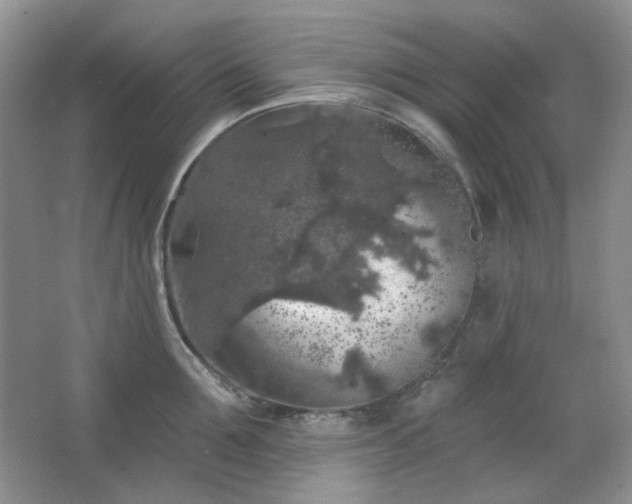 X0000064720907200602101121