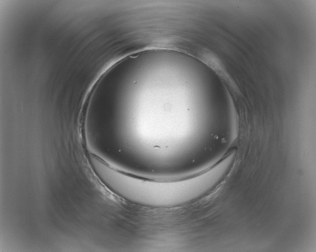 X0000064720908200602101120