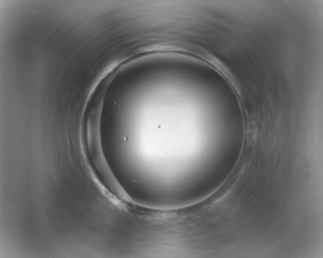 X0000064720909200602101120