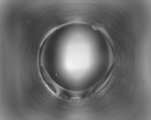 X0000064720910200602101120