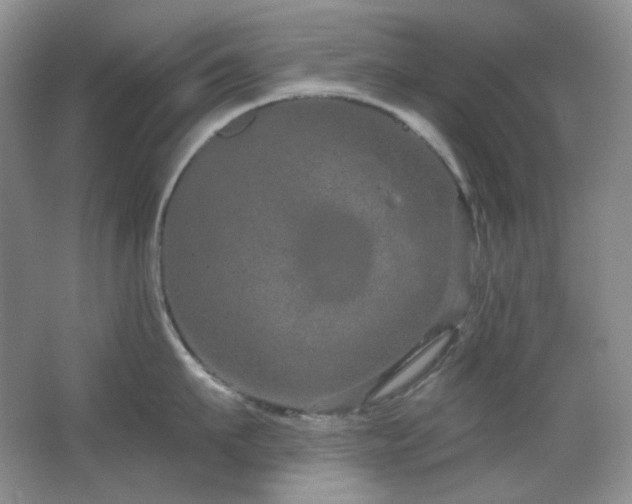 X0000064720911200602101120